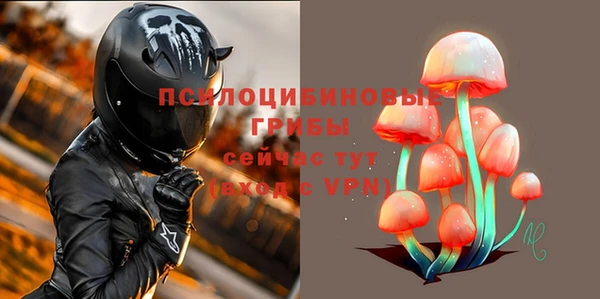 соль ск Медногорск