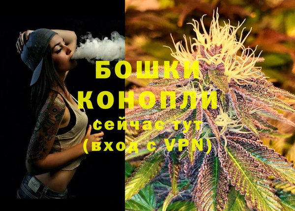 трава Мегион