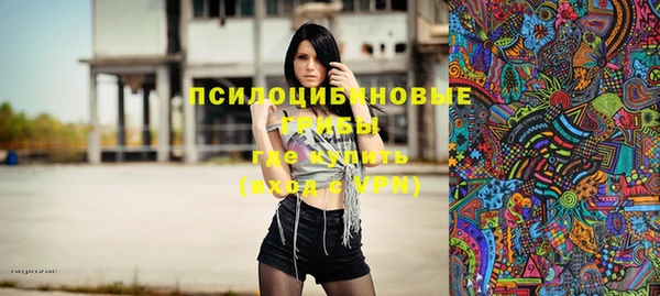 соль ск Медногорск