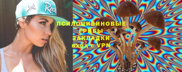 твердый Медвежьегорск