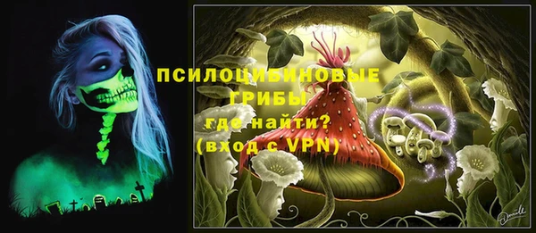 твердый Медвежьегорск