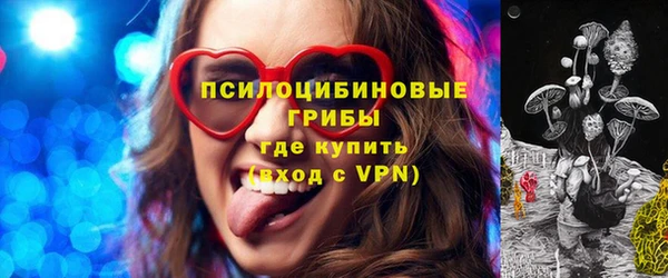 соль ск Медногорск
