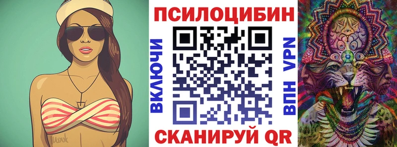 Купить где  Далматово  Псилоцибиновые грибы Psilocybe 